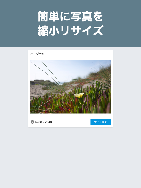 写真リサイズ 画像サイズ変更 & 縮小アプリのおすすめ画像2