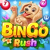 Bingo Rush - Club Bingo Games icon