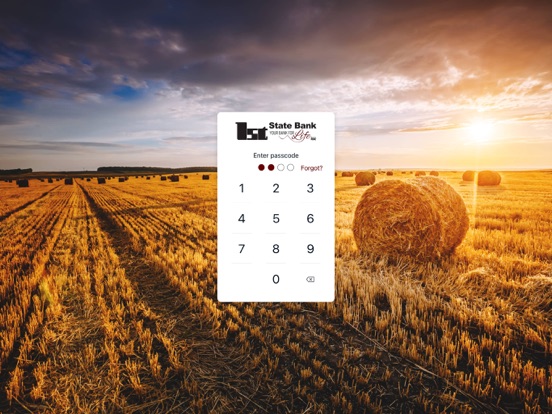 First State Bank of Purdy iPad screenshot 2 - Finance app