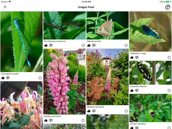 naturbeobachtung.at iPad screenshot