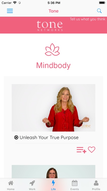 Tone Networks:Advice On Demand screenshot-4