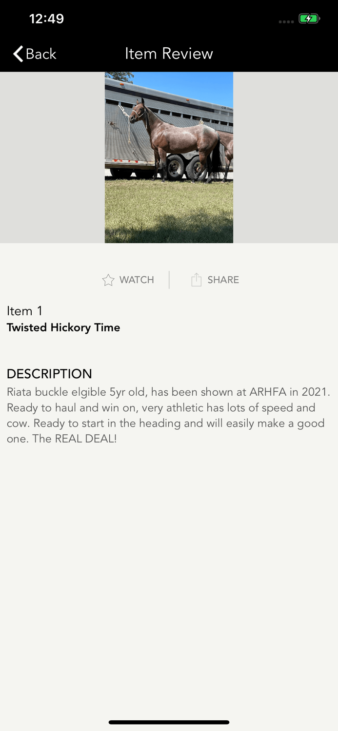 Equine Exchange Auctions