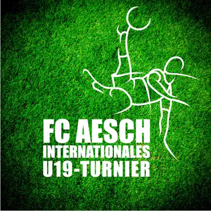 U19TurnierAesch Читы