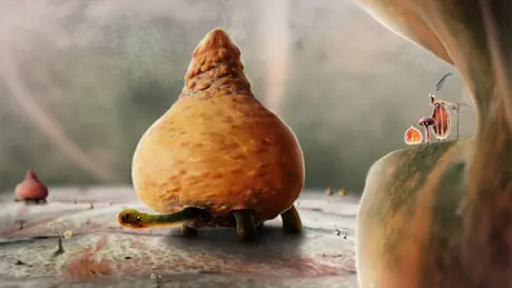 Botanicula
