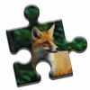 Curious Fox Puzzle icon