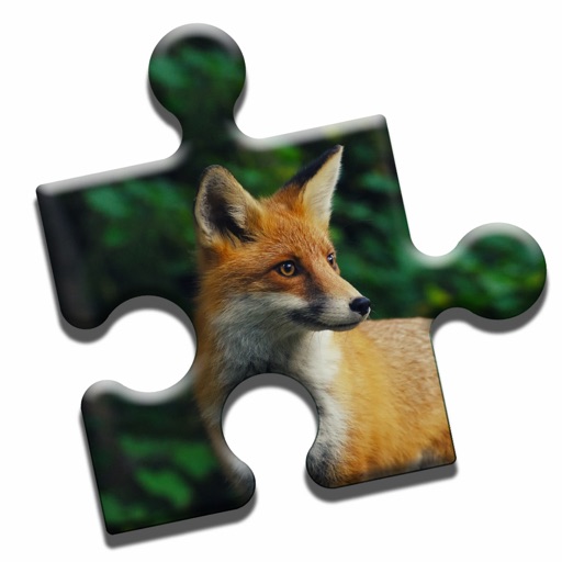 Curious Fox Puzzle icon