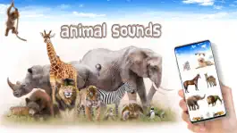 Game screenshot Amazing Animal Sounds mod apk