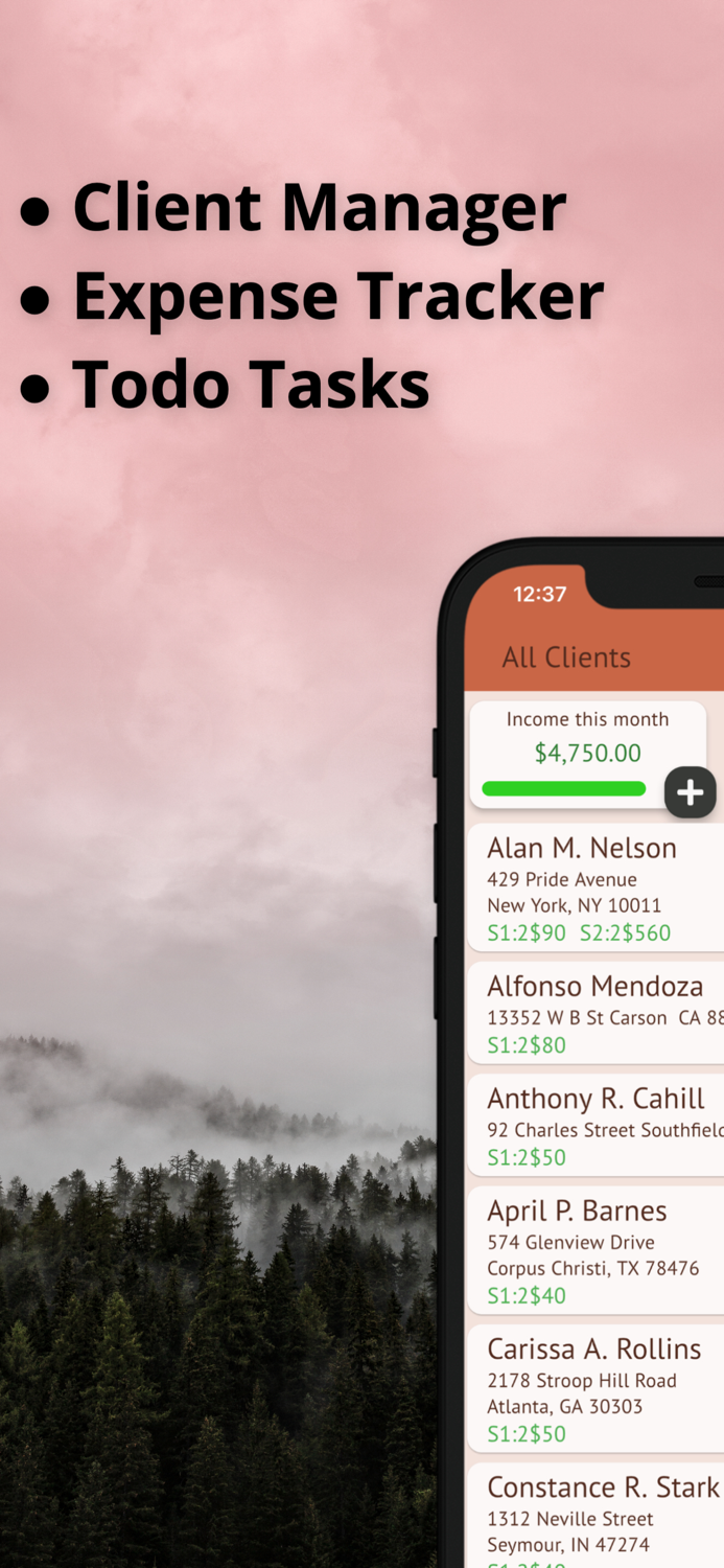 Business Manager Gig-Services