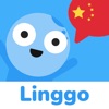 Linggo: Learn Chinese language icon