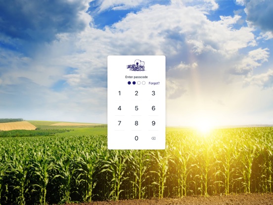 First Pioneer Mobile iPad screenshot 2 - Finance app