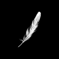 Feather. logo