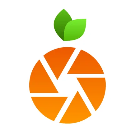 MyFoodRepo Читы