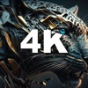 Wallpaper 4K Best Backgrounds icon