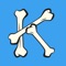 App for community college students to learn bone anatomy