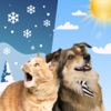 Weather Kitty - Cute Cat radar icon
