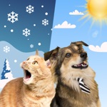 Download Weather Kitty - Cute Cat radar app