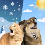 Weather Kitty - Cute Cat radar App Alternatives