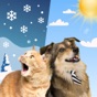 Weather Kitty - Cute Cat radar app download