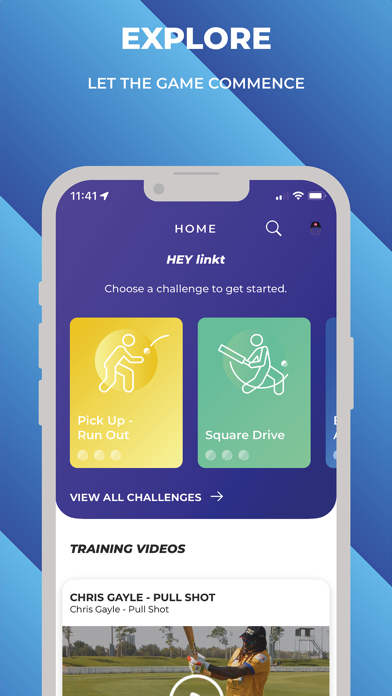 Cricket Allrounder Screenshot