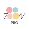 LooZoom PRO icon