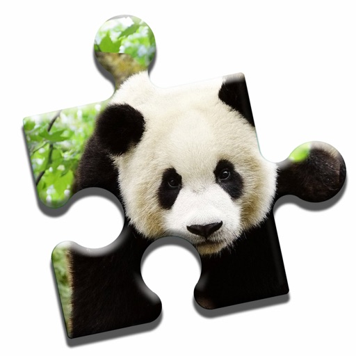 Panda Love Puzzle icon