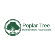 Poplar Tree