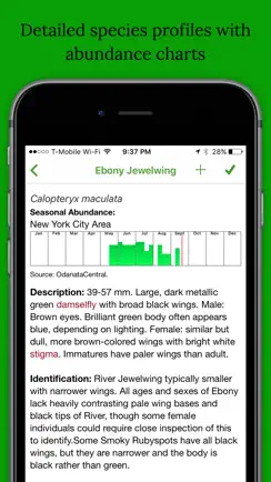 Dragonfly Damselfly ID App iPhone image 3