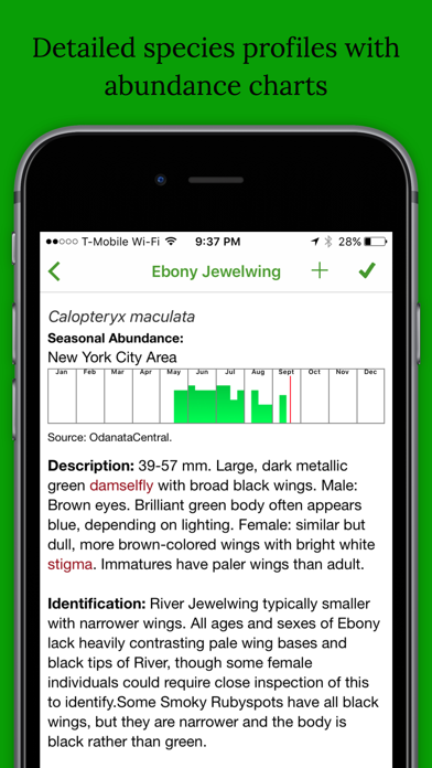 Dragonfly Damselfly ID App Screenshot