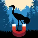 Sandhill Crane Magnet App Contact