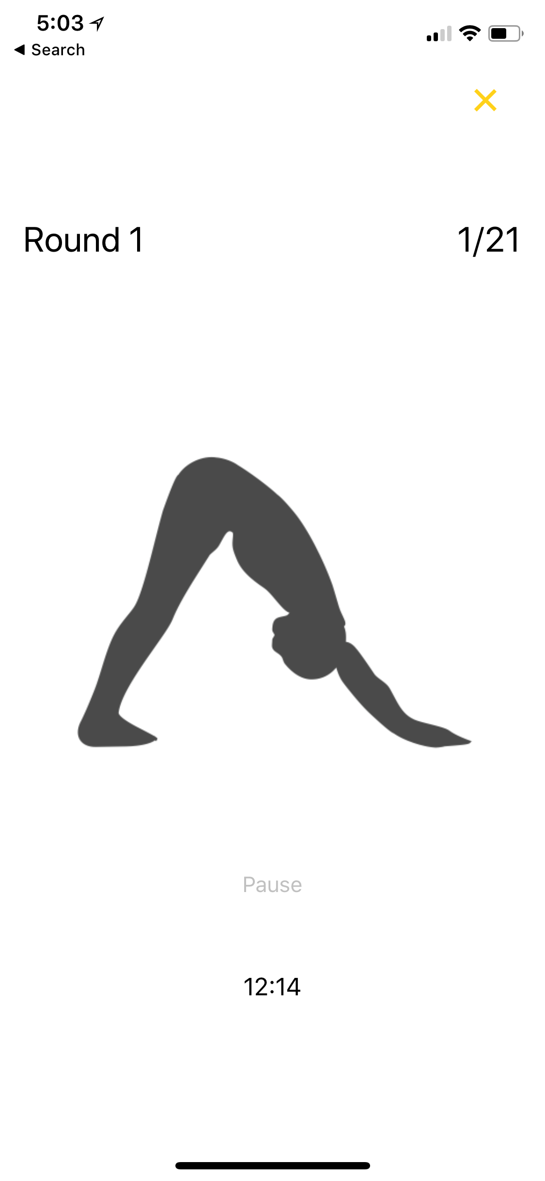 Sun Salutos - Surya Namaskar