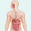 Learn Digestive System problems & troubleshooting and solutions