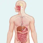 Learn Digestive System App Negative Reviews