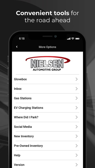 Nielsen Automotive Screenshot