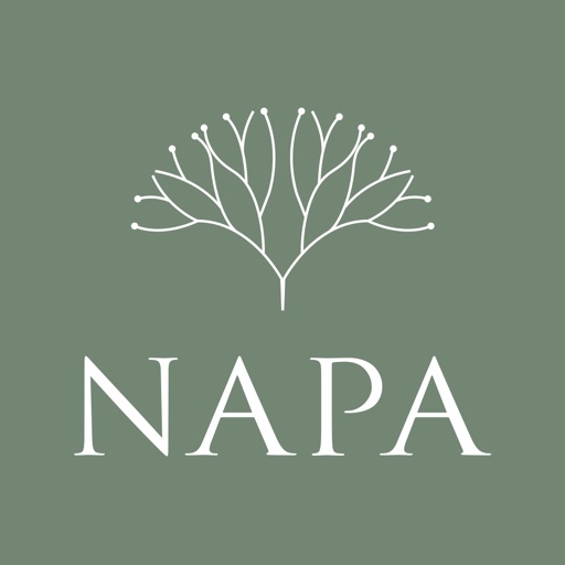 NAPA HK icon