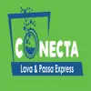 CONECTA Lava & Passa delete, cancel