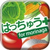 はっちゅう＋ for morinaga
