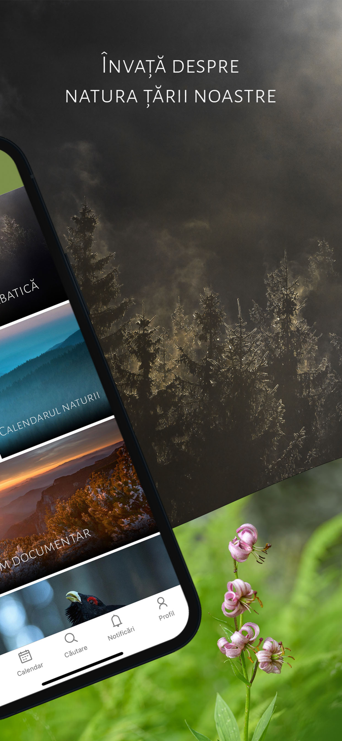 România Sălbatică