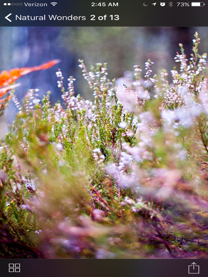 Ai Natural Wonders Wallpaper