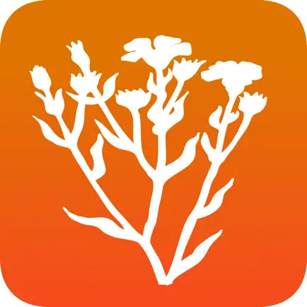 Bachblüten für Kinder PRO Читы