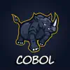 Learn Cobol Programming 2022 delete, cancel