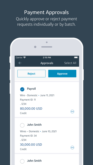 Capital One Intellix® Mobile Screenshot