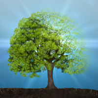Idle Plant 3D
