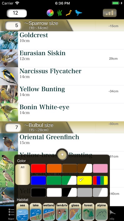 Japanese Birds
