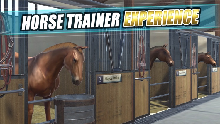 iHorse 2022：Horse Racing Game screenshot-5