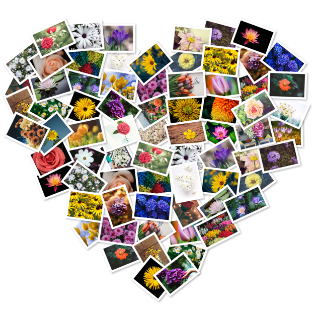 FigrCollage - Make a Shape Collage, Number Collage, or Letter