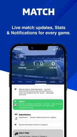 Game screenshot The Toffees - Live Scores hack