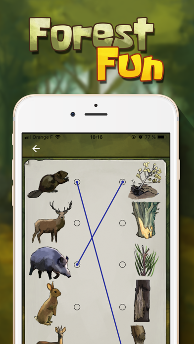 screenshot of Forest Fun 3