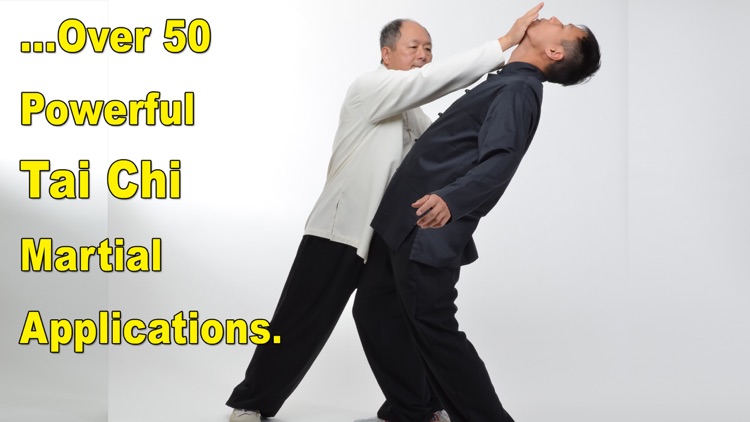 Tai Chi Martial Applications