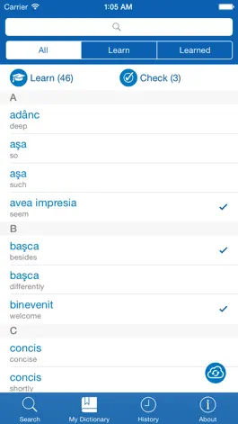 Game screenshot Romanian−English dictionary hack