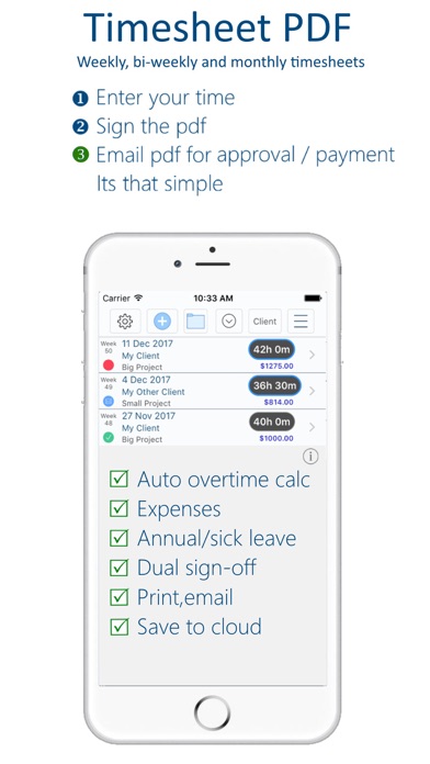 Timesheet PDF Screenshot